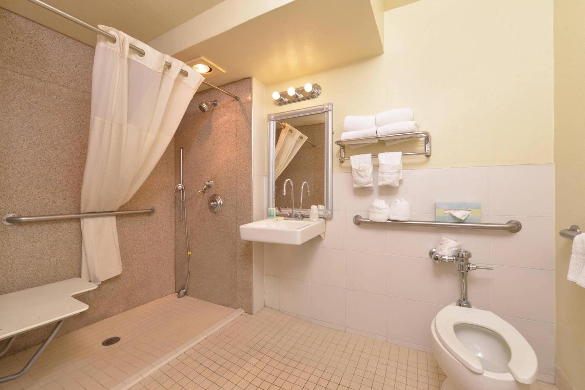 Standard Room, 1 King Bed, Accessible, Roll-In Shower, Non Smoking